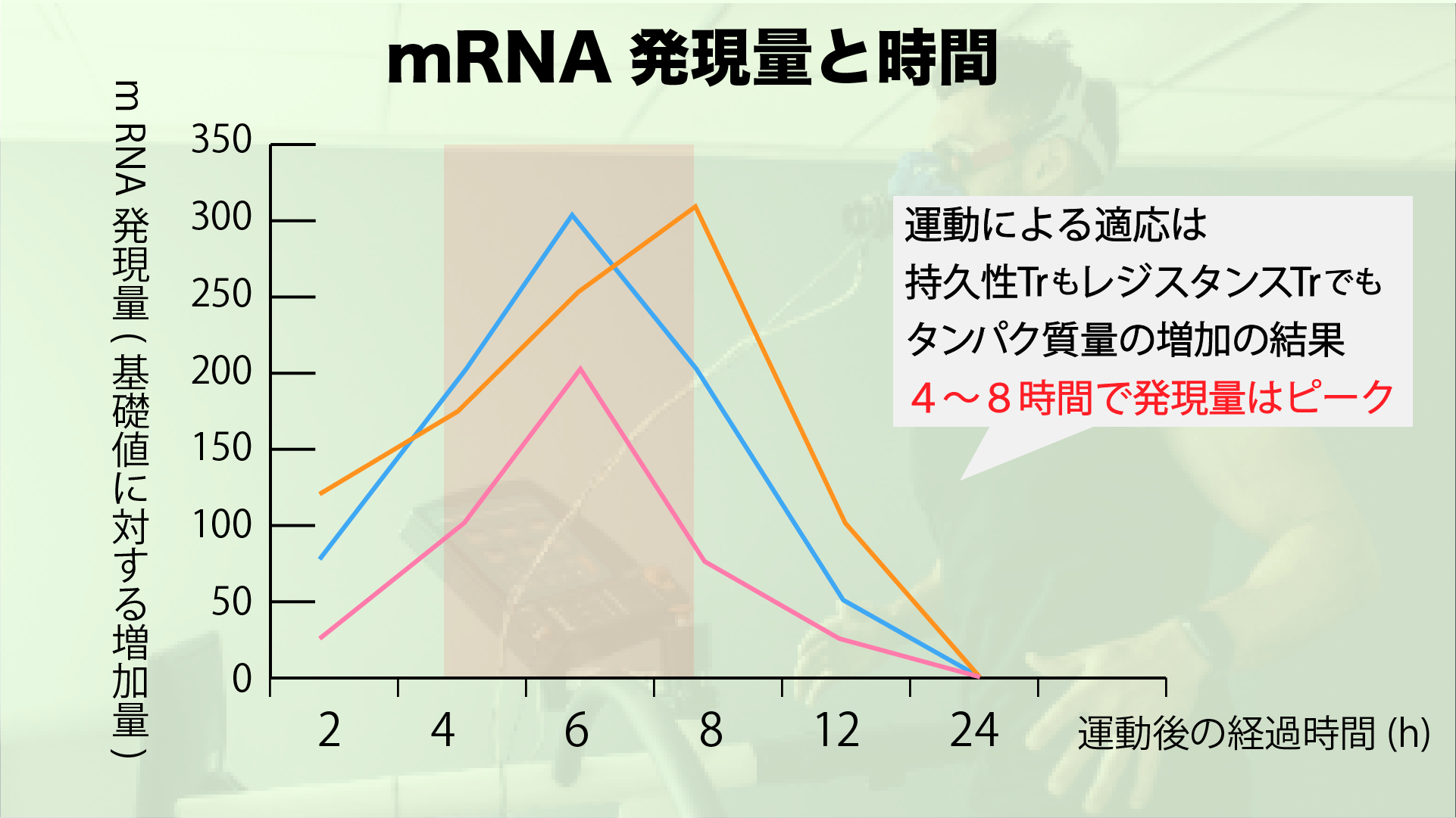 パワーズ運動生理学より筆者作成