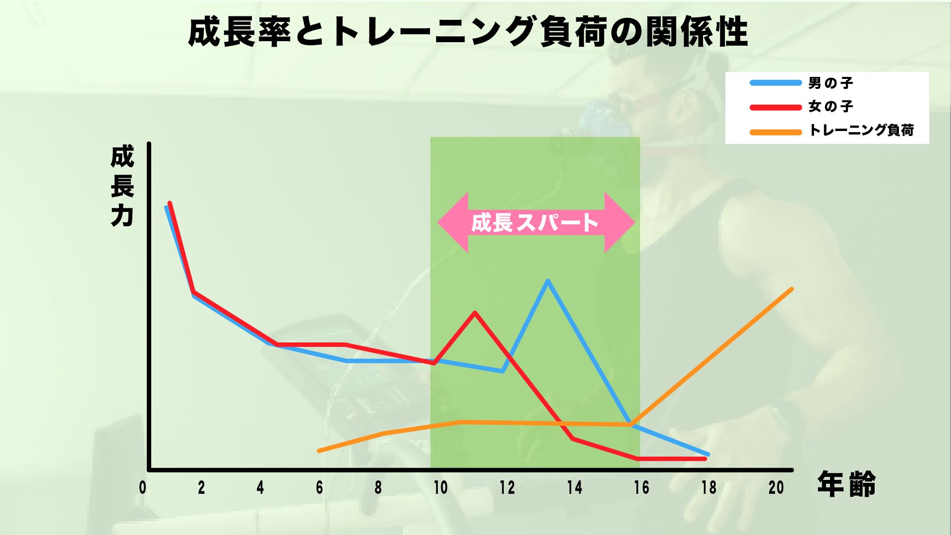 ＪＣ　成長期 中学生(ジュニア期)のトレーニングの考え方 - YukiYamada 【ランニング食堂@まるお製作所RC】