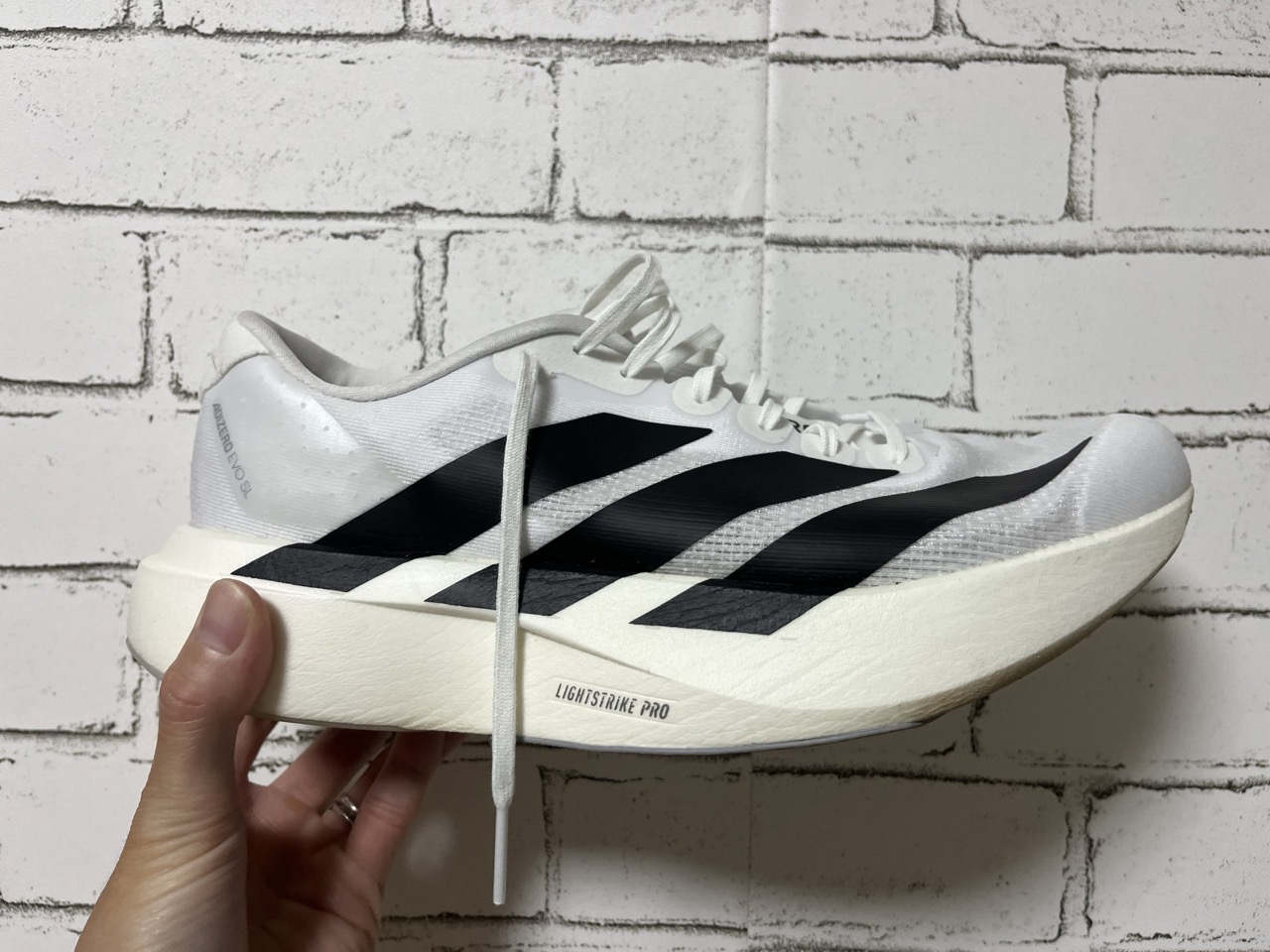 レビュー】EVOSL (エヴォSL)はデイリーシューズの覇権を取る